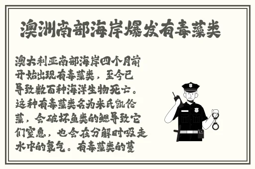 万篇长征-黑料不打烊2024